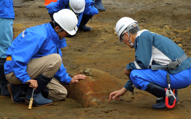 F-3断層の直上にある石表面の傷を入念に確認する島崎委員、9月4日撮影