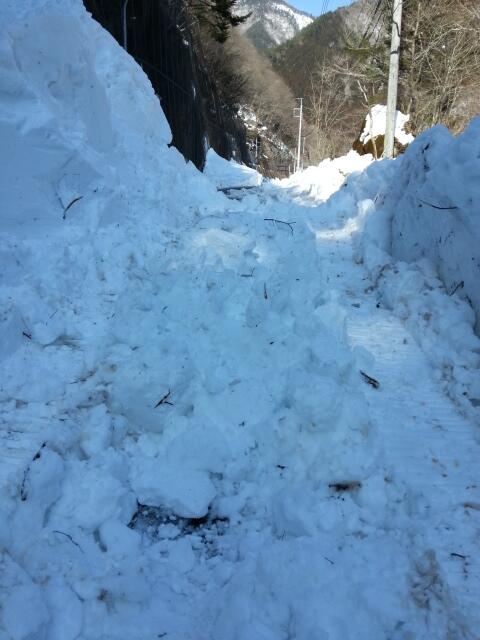 ▲相馬梢さん撮影。この雪道を2時間かけて実家へ辿り着いた。2月18日午後2時