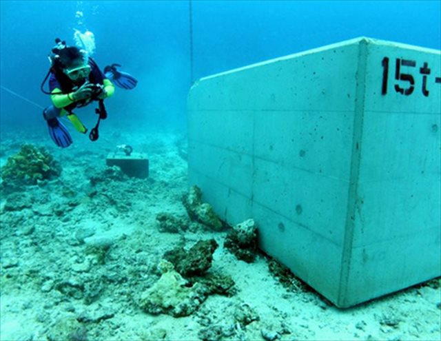 ▲サンゴ礁の上に設置された15トンのコンクリートブロック