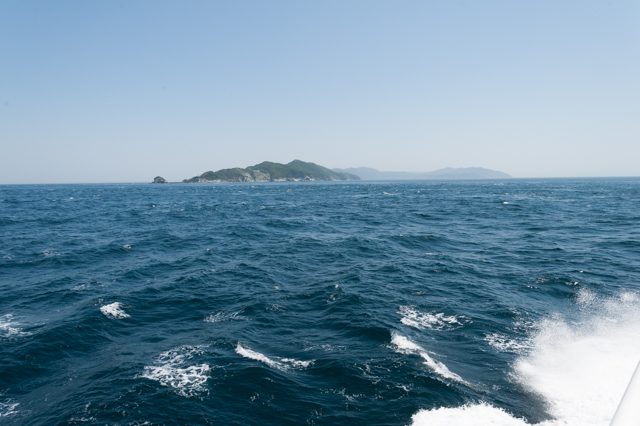 ▲佐賀関から三崎まで70分。出港してすぐ佐多岬半島が見えてくる